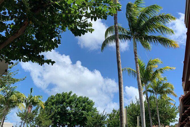 North Shore Highlight Tour - A Detailed Look at the North Shore Highlight Tour