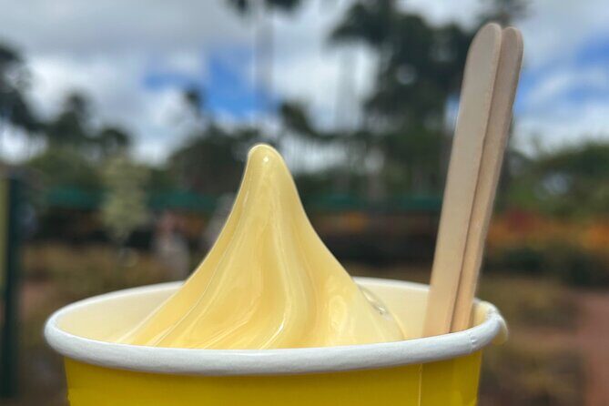 North Shore Highlight Tour - Final Thoughts