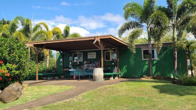 North Shore's best day! River, Turtles, Farm with Lunch - The Experience in Detail