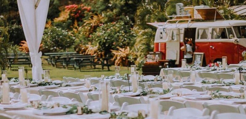 North Shore's best day! River, Turtles, Farm with Lunch - Why This Tour Offers Value