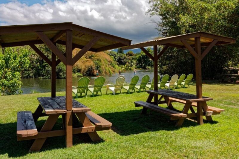 North Shore's best day! River, Turtles, Farm with Lunch - The Sum Up