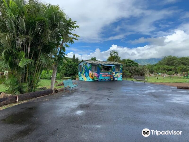 North Shore's best day! River, Turtles, Farm with Lunch - FAQs