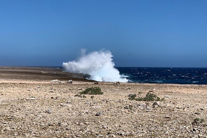 North & South Tour with Local Guide - FAQs