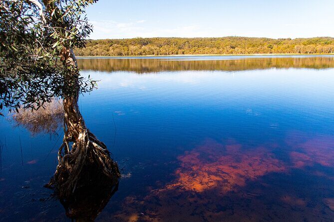 North Stradbroke Island Private Tour with Pickup - A Day in the Life: Breaking Down the Itinerary