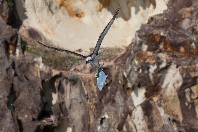 North Stradbroke Island Private Tour with Pickup - FAQ About the North Stradbroke Island Private Tour