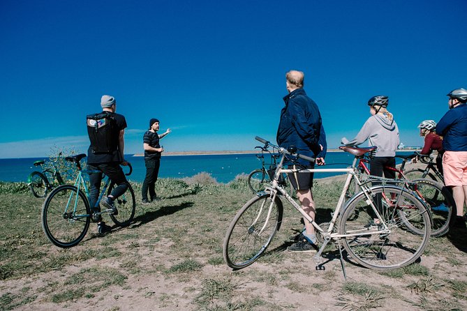 North Tallinn Guided Bike Tour - Experience With the Guide