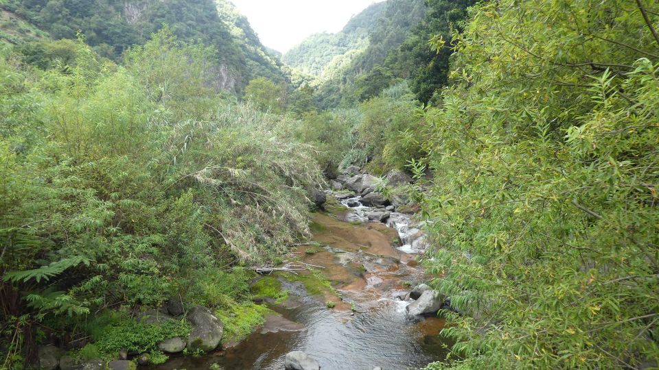North Tour - Funchal Scenic Drive