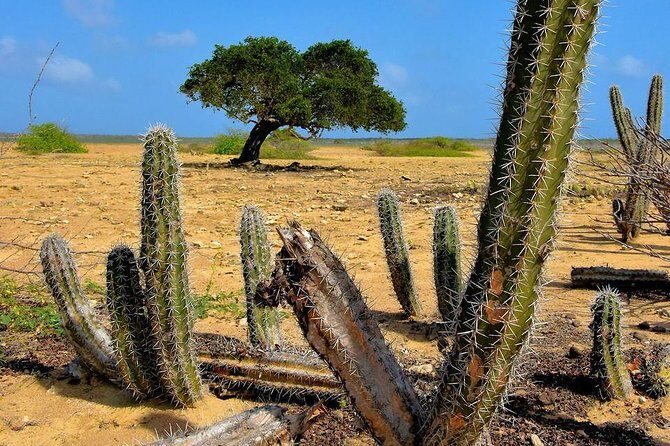 North Tour with Local Guide - Final thoughts