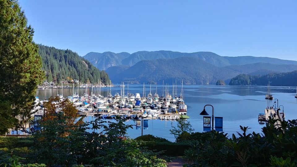 North Vancouver Discovery Private Tour - Capilano Suspension Bridge Park