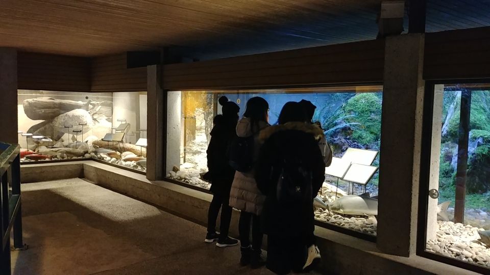 North Vancouver Discovery Private Tour - Frequently Asked Questions