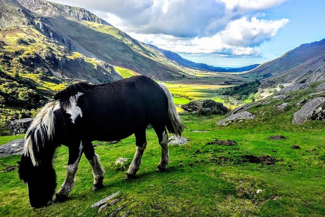 North Wales Adventure Sightseeing Day Trip From Liverpool - Tour Inclusions