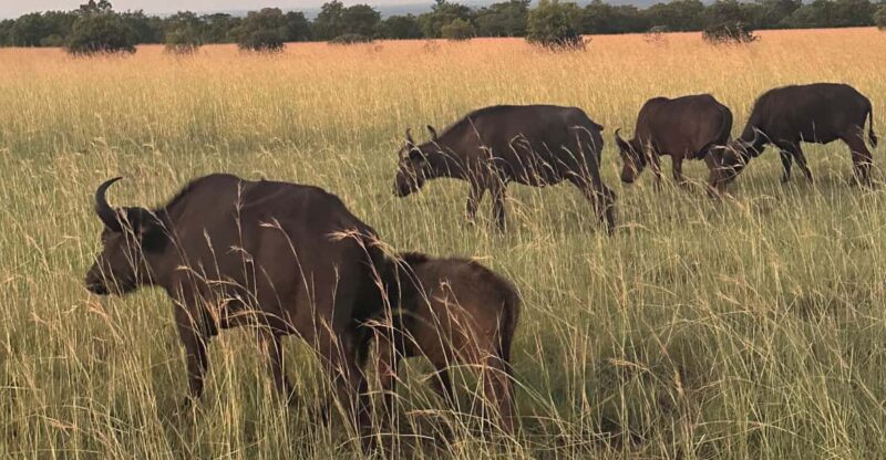 North West - PILANESBURG NATURE RESERVE - Visitor Experience and Activities