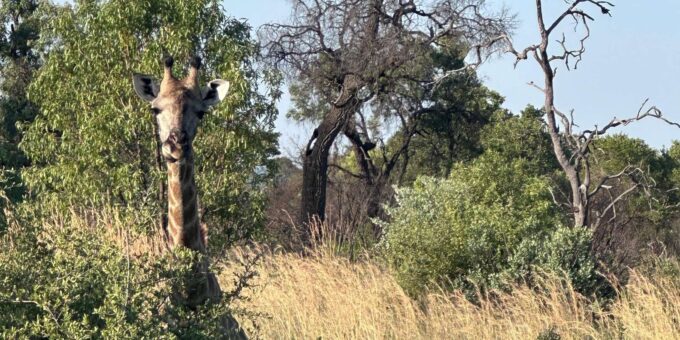 North West - PILANESBURG NATURE RESERVE - The Sum Up