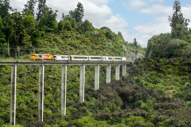 Northern Explorer Train Journey From Auckland to Wellington - Scenic Highlights Along the Route