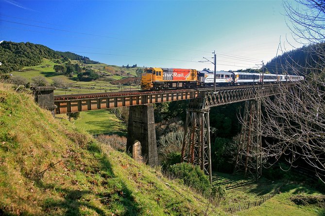 Northern Explorer Train Journey From Auckland to Wellington - Important Traveler Information