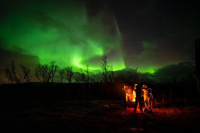 Northern light hunt in Tromsø. WiFi included - An Authentic Arctic Experience: What It’s Like