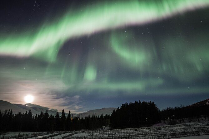 Northern Lights 4x4 Tour from Akureyri - Discovering the Northern Lights 4x4 Tour from Akureyri