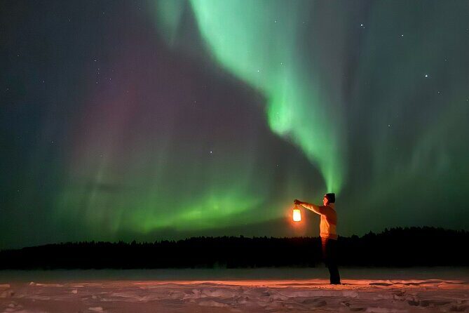 Northern Lights Adventure in the Wild with Campfire Treats - Exploring the Itinerary: What to Expect