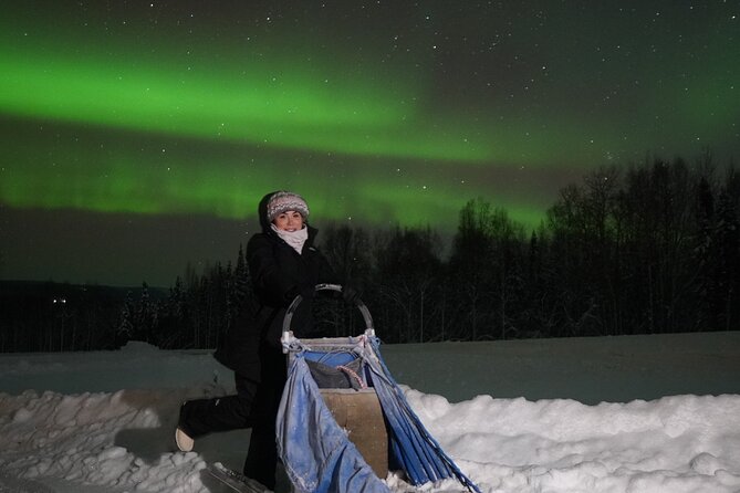 Northern Lights and Aurora Photgraphy With Warm Geodesic Dome - Traveler Recommendations