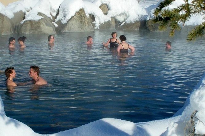 Northern Lights and Chena Hot Springs Tour From Fairbanks - Itinerary Overview