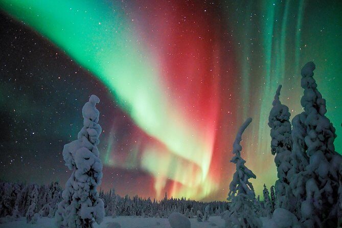 Northern Lights Aurora Tour from Kemi - Who Should Consider This Tour?