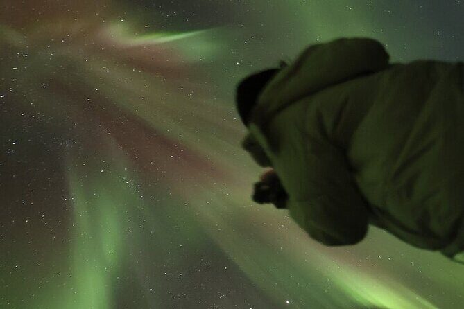 Northern Lights Aurora Tour with Photography - Authentic Feedback: Real Travelers’ Views