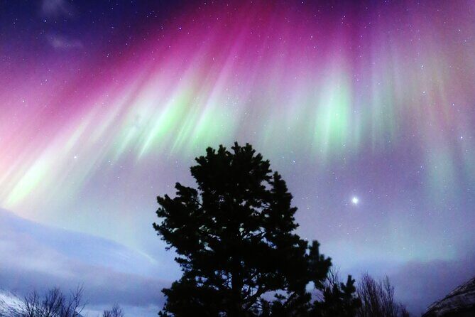 Northern Lights Big Bus Chase with Free Photos - Key Points: