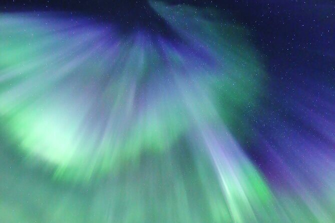 Northern Lights Big Bus Chase with Free Photos - The Experience on the Bus