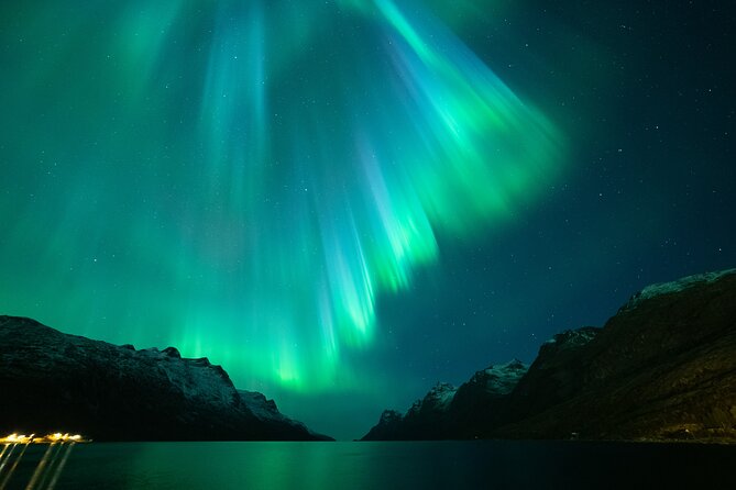 Northern Lights Chase by Bus in Tromso - Guidance and Group Size