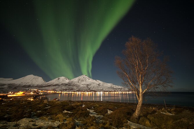 Northern Lights Chase by Bus in Tromso - Accessibility and Logistics