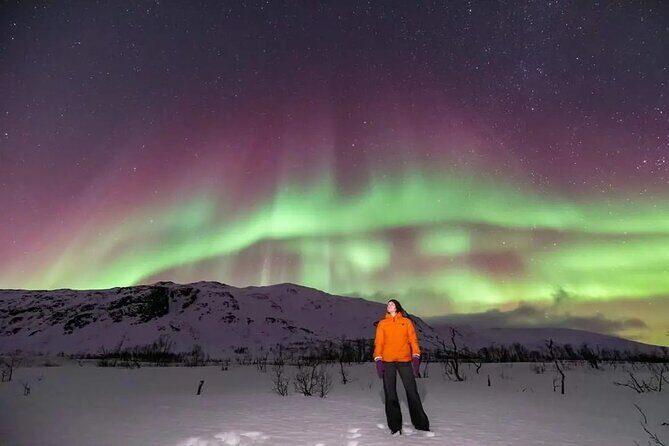 Northern Lights Chase by Minibus - FAQ