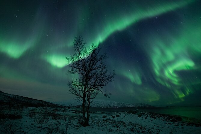 Northern Lights Chase - More Than Just a Chase - Professional Guidance and Expertise