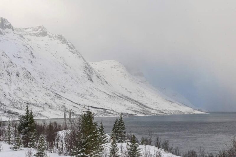 Northern Lights Chase Small Group 8 pax - FAQ