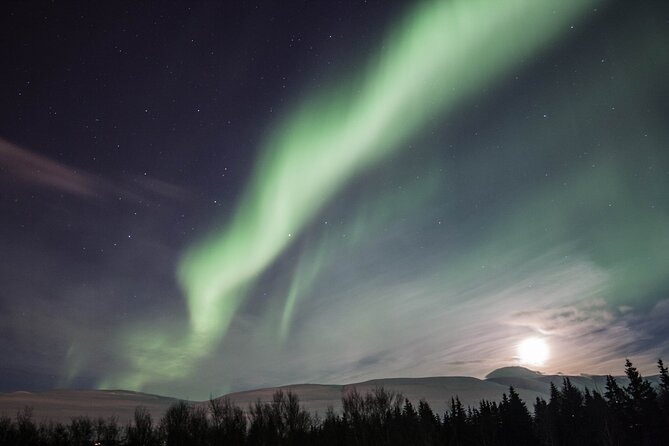 Northern Lights Classic Tour From Akureyri - Good To Know