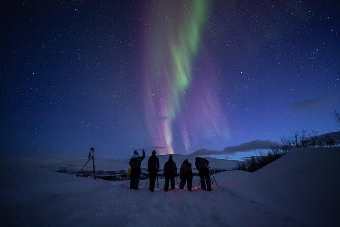 Northern Lights Expedition with Arctic Photo Guide max 6 guests - The Sum Up: Is This Tour Right for You?