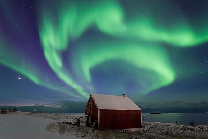 Northern Lights Hunt Including Snacks on Campfire From Rovaniemi - Participant Reviews and Ratings