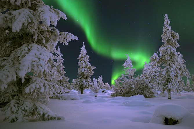 Northern Lights Hunting by Car - Included Amenities