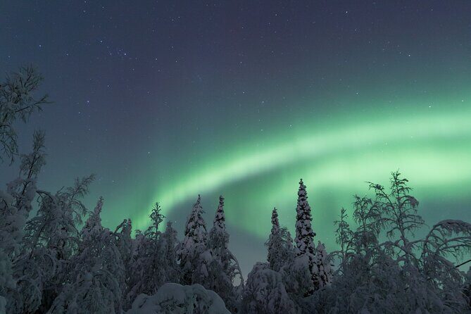 Northern Lights Hunting Photo Tour in Ylläs - What Makes This Tour Special?