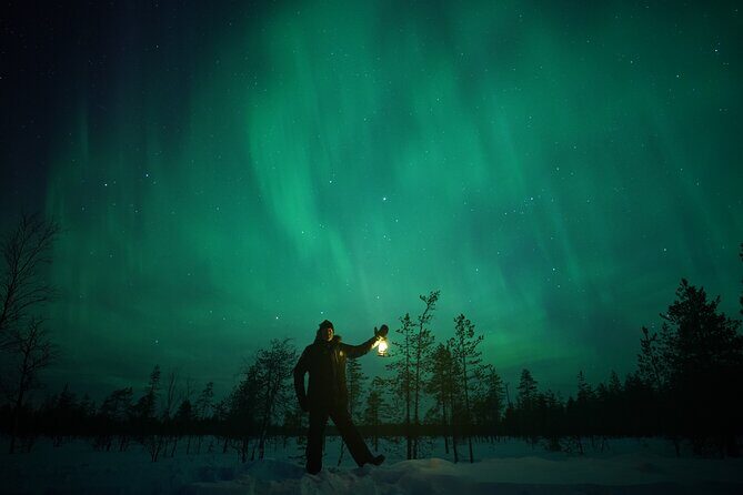 Northern Lights Hunting Photography in Rovaniemi Finland - Who Is This Tour Best For?