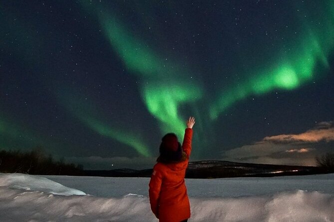 Northern Lights Hunting Sonkamuotka - Private Tour Options