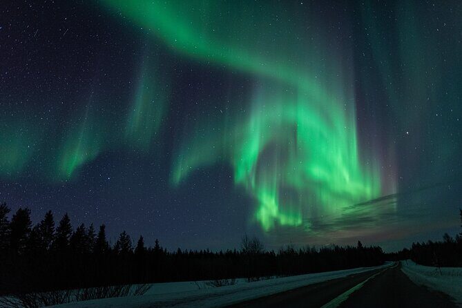 Northern Lights Hunting with a photographer (Only small groups) - Who Should Book This Tour?