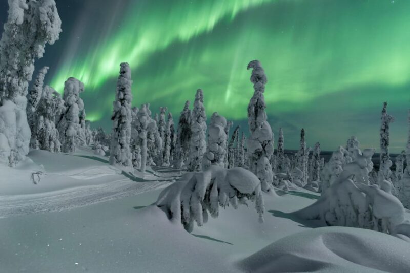 Northern Lights Hunting with Aurora Workshop - A Closer Look at the Aurora Experience