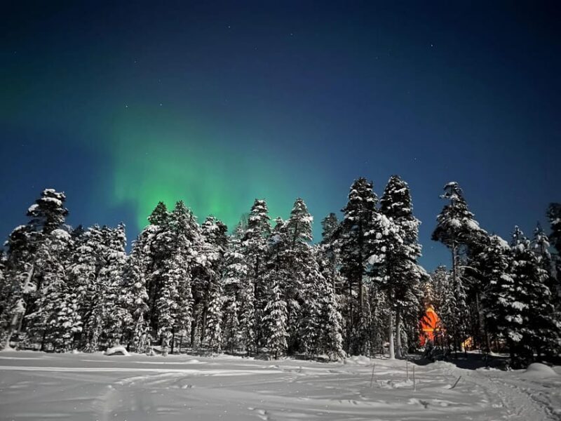 Northern Lights Hunting with Aurora Workshop - Who Should Consider This Tour?
