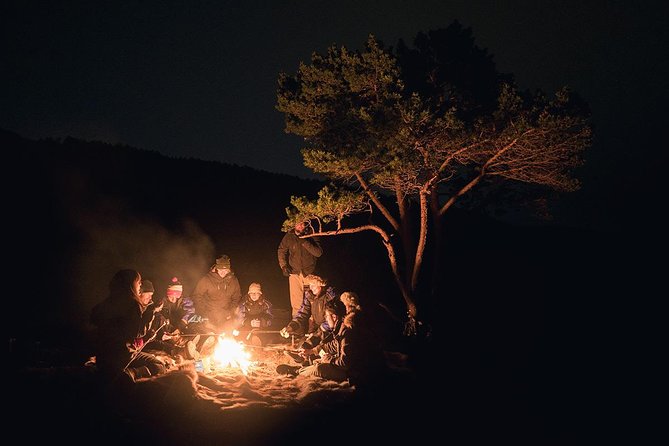 Northern Lights Minibus Chase From Tromso - Tour Overview