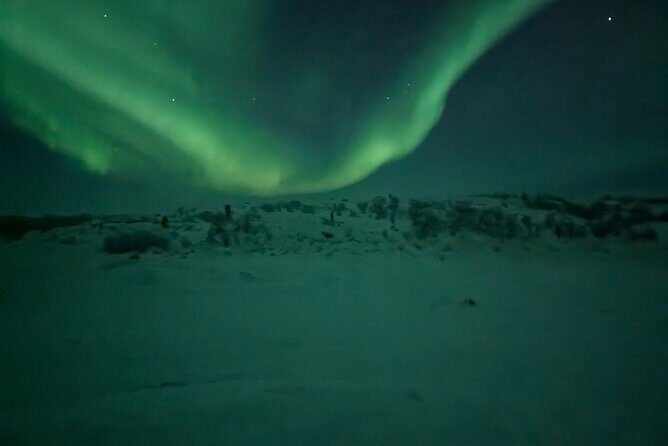 Northern Lights Minibus Chase Max 16 Person In Group - The Experience in Detail