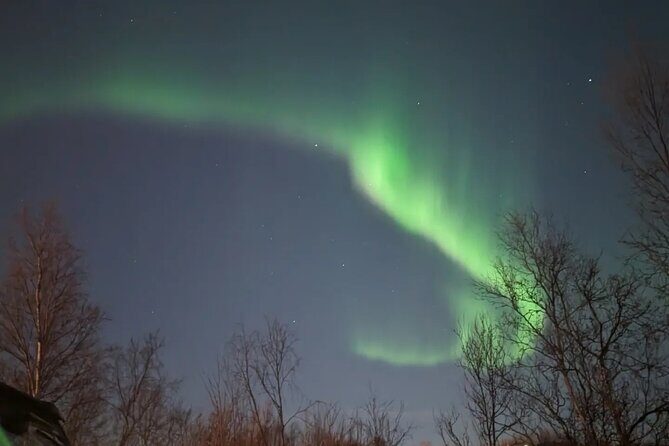 Northern Lights Minibus Chase Max 16 Person In Group - The Viewing Experience