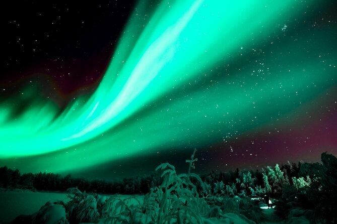 Northern Lights Rovaniemi: Guaranteed Viewing & Unlimited Mileage - Whats Included