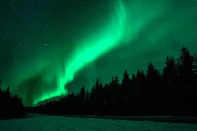 Northern Lights Rovaniemi: Guaranteed Viewing & Unlimited Mileage - Tour Schedule