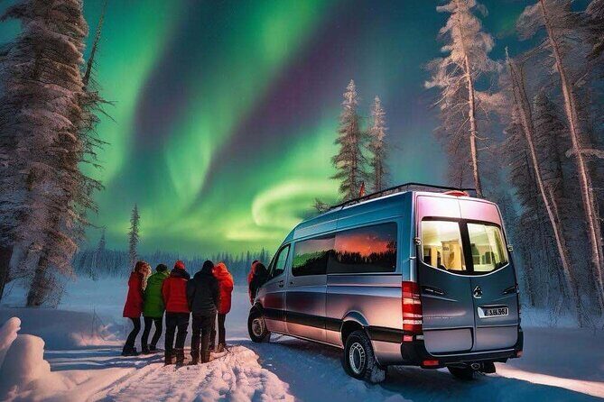 Northern Lights Small Group Tour from Reykjavik - What the Reviews Tell Us