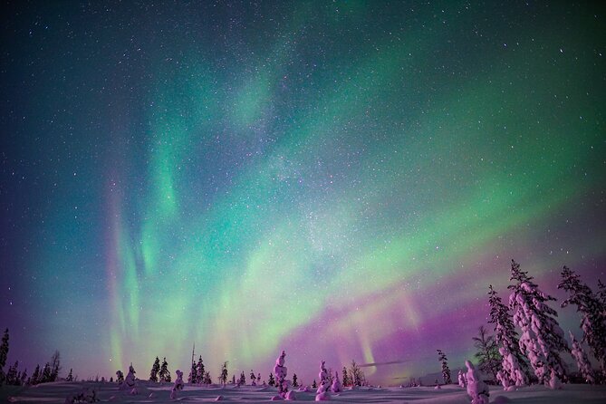 Northern Lights Snowmobile Sledge Ride in Rovaniemi - Good To Know